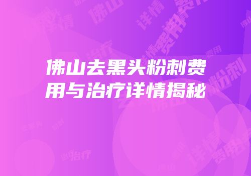 佛山去黑头粉刺费用与治疗详情揭秘