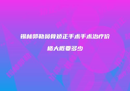 锡林郭勒鼻骨矫正手术手术治疗价格大概要多少