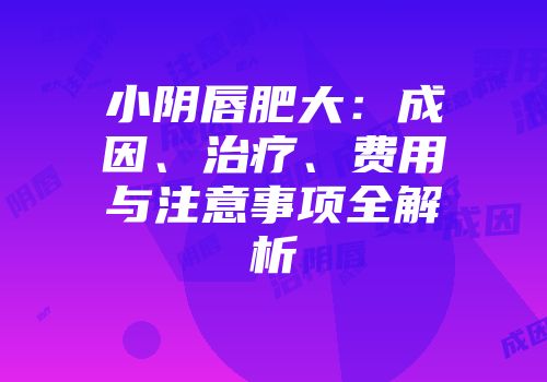 小阴唇肥大：成因、治疗、费用与注意事项全解析