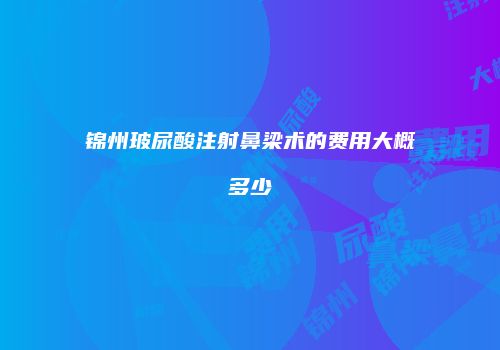 锦州玻尿酸注射鼻梁术的费用大概多少