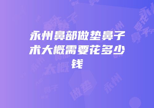 永州鼻部做垫鼻子术大概需要花多少钱