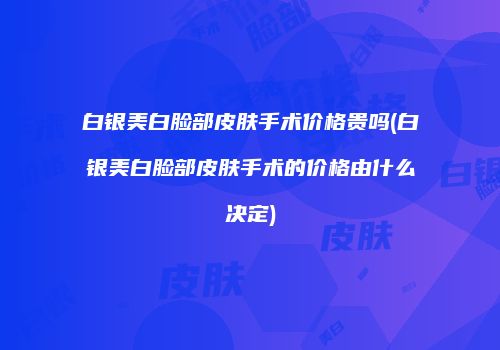 白银美白脸部皮肤手术价格贵吗(白银美白脸部皮肤手术的价格由什么决定)
