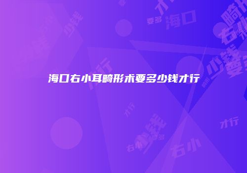 海口右小耳畸形术要多少钱才行