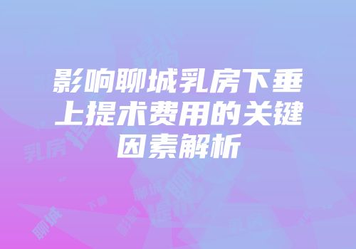 影响聊城乳房下垂上提术费用的关键因素解析