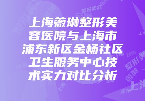 上海薇琳整形美容医院与上海市浦东新区金杨社区卫生服务中心技术实力对比分析