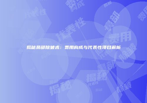 揭秘鼻部除皱术：费用构成与代表性项目解析