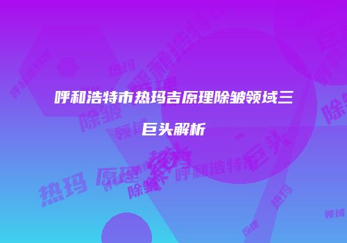 呼和浩特市热玛吉原理除皱领域三巨头解析