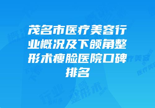茂名市医疗美容行业概况及下颌角整形术瘦脸医院口碑排名