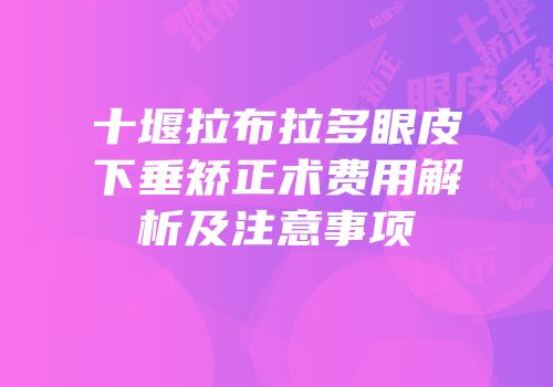 十堰拉布拉多眼皮下垂矫正术费用解析及注意事项