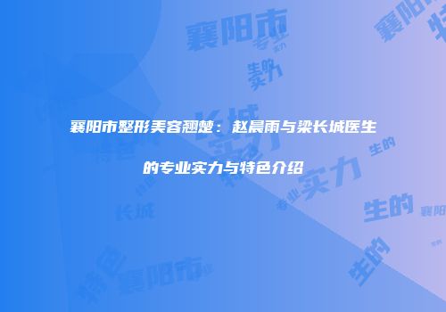 襄阳市整形美容翘楚：赵晨雨与梁长城医生的专业实力与特色介绍