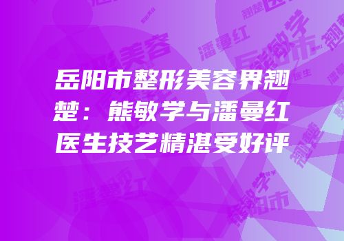 岳阳市整形美容界翘楚：熊敏学与潘曼红医生技艺精湛受好评