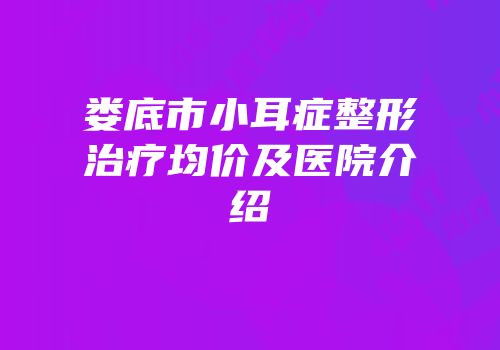 娄底市小耳症整形治疗均价及医院介绍