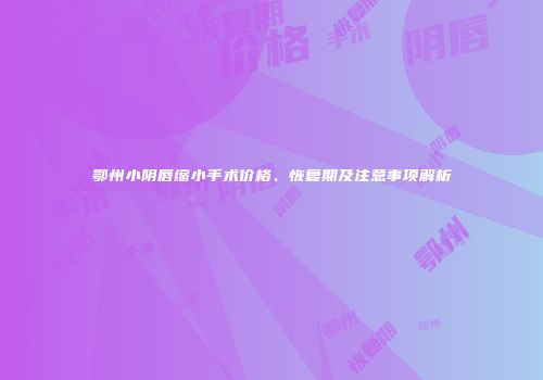 鄂州小阴唇缩小手术价格、恢复期及注意事项解析