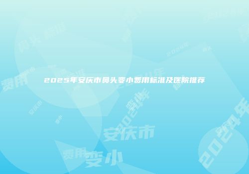 2025年安庆市鼻头变小费用标准及医院推荐