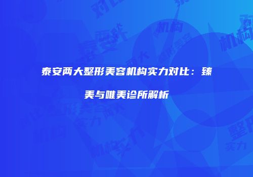 泰安两大整形美容机构实力对比：臻美与唯美诊所解析