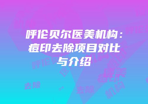 呼伦贝尔医美机构：痘印去除项目对比与介绍