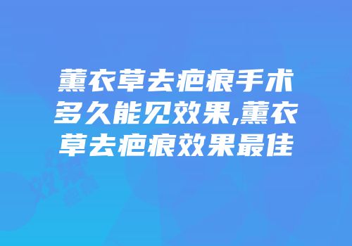 薰衣草去疤痕手术多久能见效果,薰衣草去疤痕效果最佳