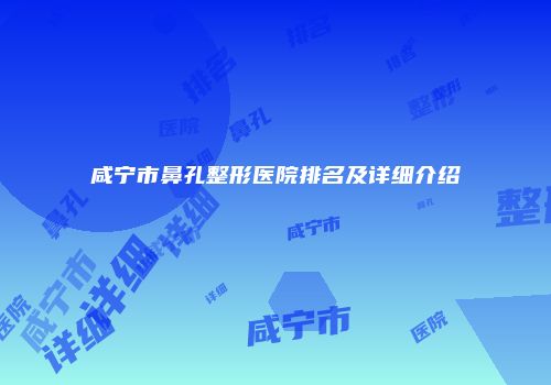 咸宁市鼻孔整形医院排名及详细介绍