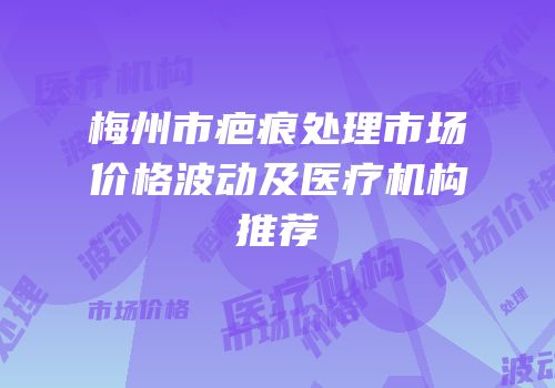 梅州市疤痕处理市场价格波动及医疗机构推荐