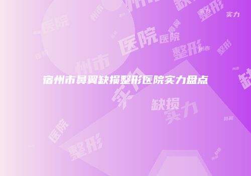 宿州市鼻翼缺损整形医院实力盘点