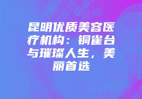 昆明优质美容医疗机构：铜雀台与璀璨人生，美丽首选