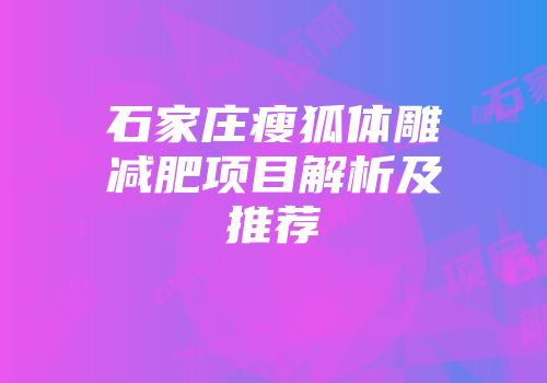 石家庄瘦狐体雕减肥项目解析及推荐