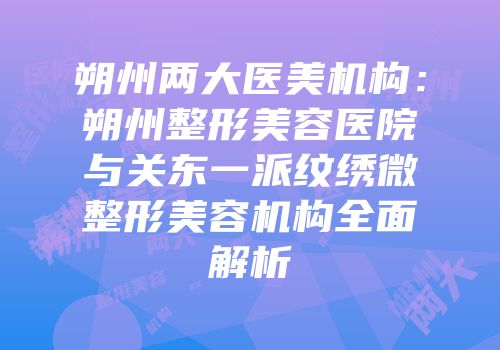 朔州两大医美机构：朔州整形美容医院与关东一派纹绣微整形美容机构全面解析