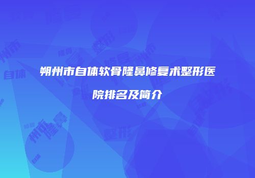 朔州市自体软骨隆鼻修复术整形医院排名及简介