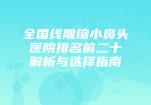 全国线雕缩小鼻头医院排名前二十解析与选择指南