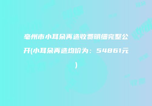 亳州市小耳朵再造收费明细完整公开(小耳朵再造均价为：54861元)