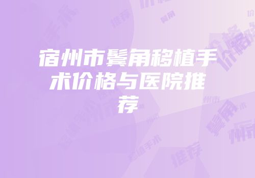 宿州市鬓角移植手术价格与医院推荐