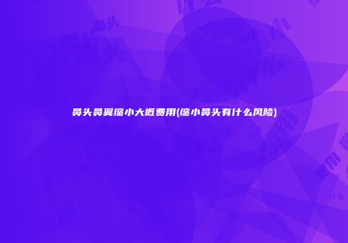 鼻头鼻翼缩小大概费用(缩小鼻头有什么风险)