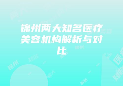 锦州两大知名医疗美容机构解析与对比