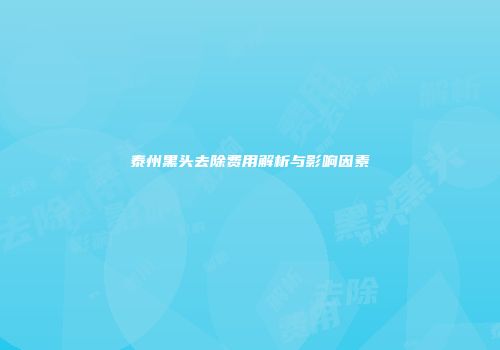 泰州黑头去除费用解析与影响因素