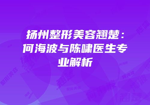扬州整形美容翘楚：何海波与陈啸医生专业解析