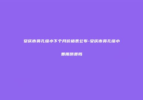 安庆市鼻孔缩小下个月价格表公布-安庆市鼻孔缩小费用昂贵吗
