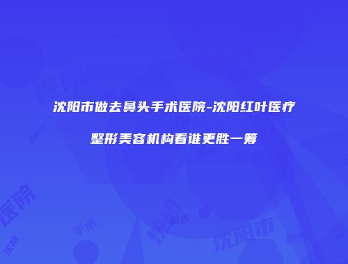 沈阳市做去鼻头手术医院-沈阳红叶医疗整形美容机构看谁更胜一筹