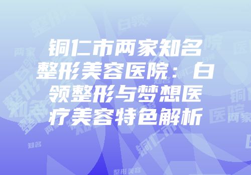 铜仁市两家知名整形美容医院：白领整形与梦想医疗美容特色解析