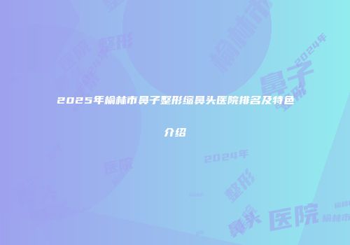2025年榆林市鼻子整形缩鼻头医院排名及特色介绍