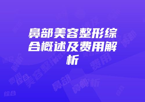 鼻部美容整形综合概述及费用解析