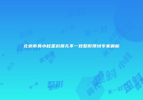 北京市鼻小柱歪斜鼻孔不一致整形领域专家解析