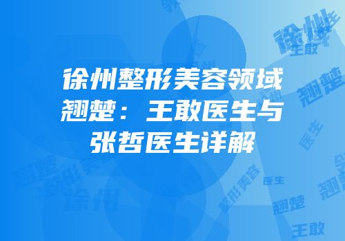 徐州整形美容领域翘楚：王敢医生与张哲医生详解