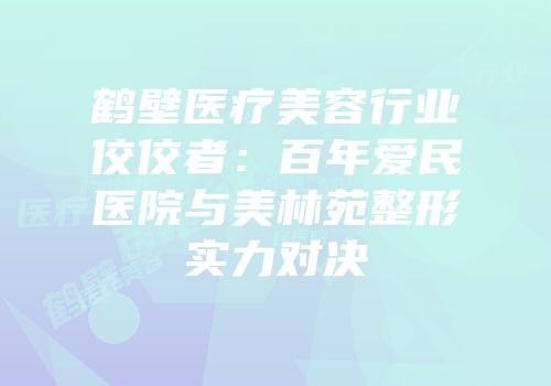 鹤壁医疗美容行业佼佼者：百年爱民医院与美林苑整形实力对决