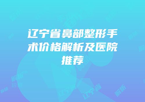 辽宁省鼻部整形手术价格解析及医院推荐