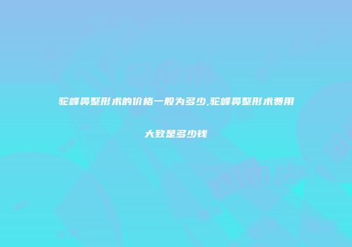 驼峰鼻整形术的价格一般为多少,驼峰鼻整形术费用大致是多少钱