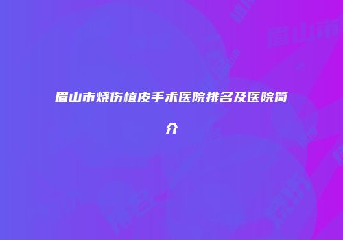 眉山市烧伤植皮手术医院排名及医院简介
