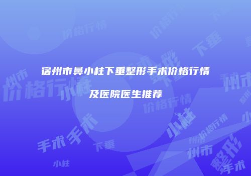 宿州市鼻小柱下垂整形手术价格行情及医院医生推荐