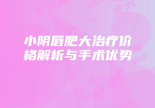 小阴唇肥大治疗价格解析与手术优势