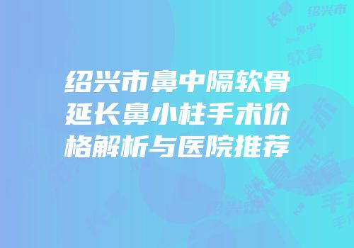 绍兴市鼻中隔软骨延长鼻小柱手术价格解析与医院推荐