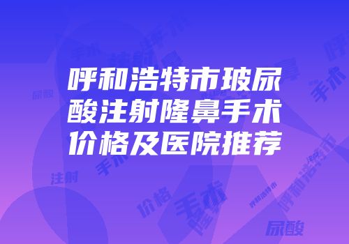 呼和浩特市玻尿酸注射隆鼻手术价格及医院推荐
